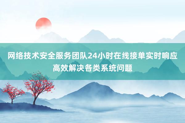 网络技术安全服务团队24小时在线接单实时响应高效解决各类系统问题
