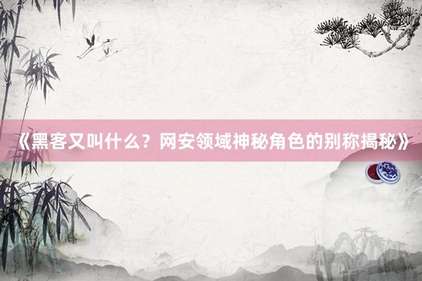 《黑客又叫什么？网安领域神秘角色的别称揭秘》